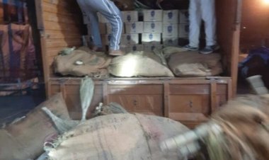 खजूर झाड़ू के नीचे छिपाकर ले जाया जा रहा था शराब, पुलिस ने छापेमारी के दौरान किया 245 पेटी शराब जब्त