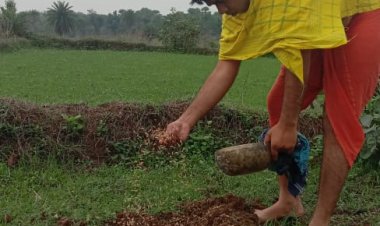 हर्षोल्लास के साथ कुड़मि समाज के द्वारा रोहोइन परब मनाया गया
