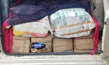 विदेशी शराब बरामद मौके से तस्कर गिरफ्तार, बुलेरो जब्त