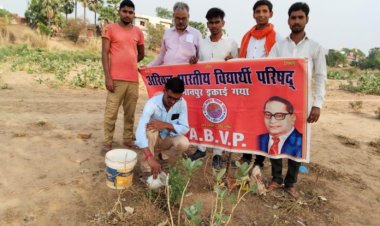 अखिल भारतीय विधार्थी परिषद के द्वारा पर्यावरण दिवस पर किया वृक्षा रोपण