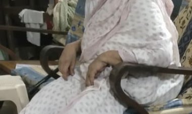 आरपीएस कॉलेज के पूर्व प्राचार्य कनाद त्रिपाठी की 88 वर्षीय माता ऊषारानी त्रिपाठी का निधन,