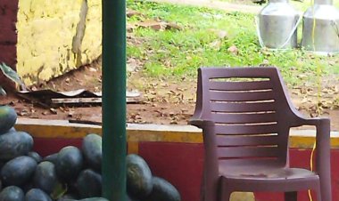 श्रीकृष्ण प्रणामी सेवा धाम ट्रस्ट ने किसानों से खरीदा तरबुज, की गौ सेवा