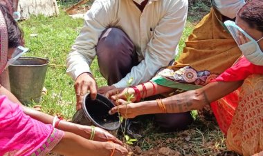 पर्यावरण दिवस पर भारतीय लोक कल्याण संस्थान ने किया पौधरोपण