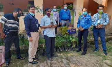 एसबीआई की एसएमईसी शाखा द्वारा आदिम जाति सेवा मंडल और बीएसवी स्कूल परिसर में किया गया पौधरोपण