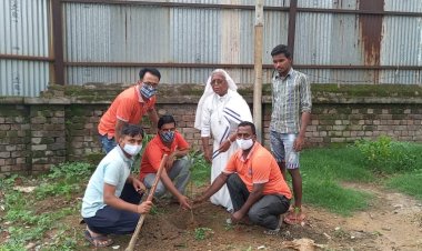 महर्षि सेवा संस्थान ने किया पौधारोपण