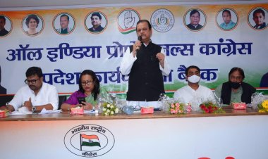 झारखंड प्रदेश प्रोफेशनल कांग्रेस की बैठक में बोलीं जरिता लैतफलांग