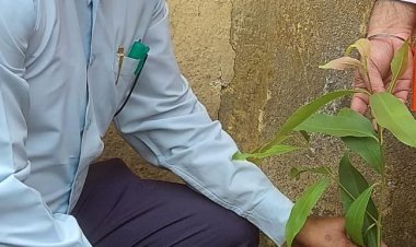 पौधे लगाकर उसकी नियमित देखभाल करते हैं पर्यावरणविद् तुषार कांति