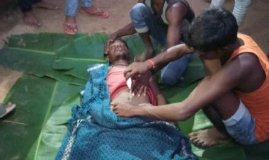 देवघर में सर्पदंश से युवक की मौत।