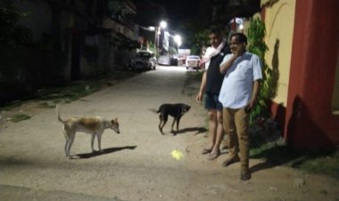 लाॅकडाउन में लावारिस जानवरों की भी बढ़ी परेशानी