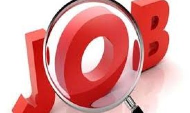 बिहार : युवाओं के लिए बड़ी खबर 1767 अमीन और 1387 इंजीनियर पदों के लिए निकली भर्ती