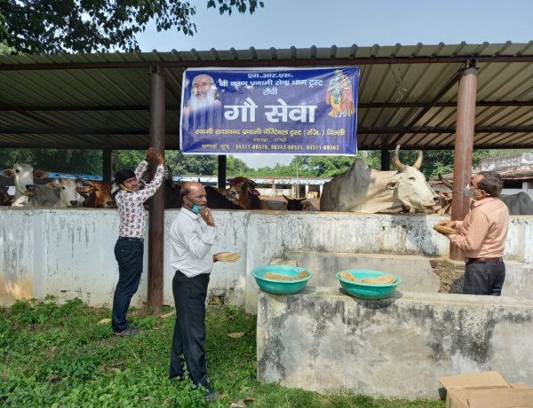 नवरात्र के शुभअवसर पर स्वामी सदानंद जी के शिष्यों ने की गौ-सेवा