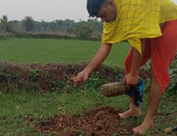 हर्षोल्लास के साथ कुड़मि समाज के द्वारा रोहोइन परब मनाया गया