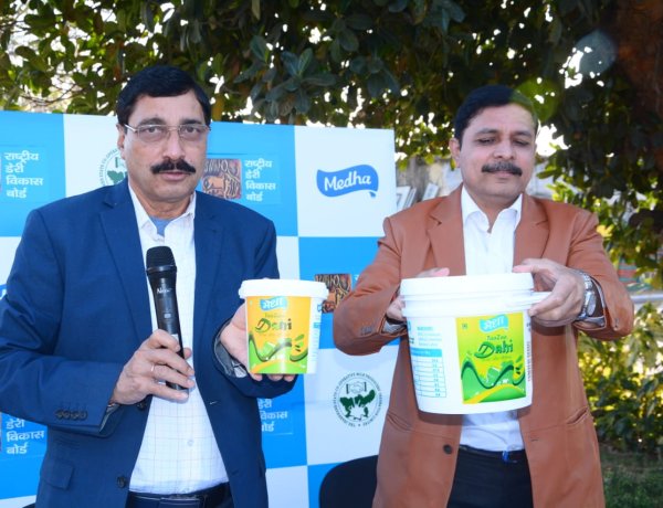 मेधा डेयरी के दही का एक व पांच किलो का पैक लाॅन्च