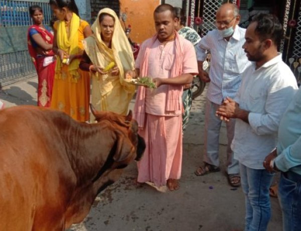 गोवर्धन पूजा पर गायों की हुई विशेष पूजा,अन्नकूट पर लगा 56 भोग