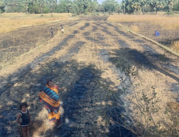 खेत में लगी आग, गेहूं की फसल जलकर राख, नुकसान देख किसान के छलके आंसू