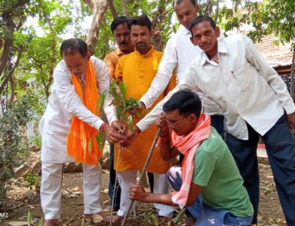 विश्व पर्यावरण दिवस पर किया गया वृक्षारोपण, भाजपा कार्यकर्ताओं ने पेड़ संरक्षण का लिया संकल्प