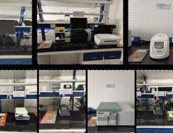 NCCS पुणे और NIAB हैदराबाद में VACCINE परीक्षण प्रयोगशाला का कार्य अंतिम चरण में