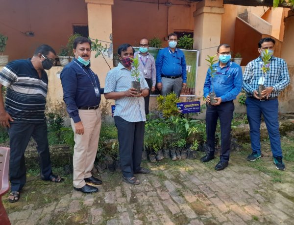 एसबीआई की एसएमईसी शाखा द्वारा आदिम जाति सेवा मंडल और बीएसवी स्कूल परिसर में किया गया पौधरोपण