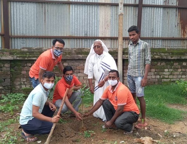 महर्षि सेवा संस्थान ने किया पौधारोपण