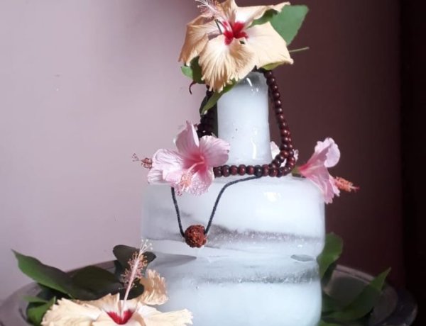 दादा के निर्देशन में पोतों ने बनाया बर्फ का शिवलिंग