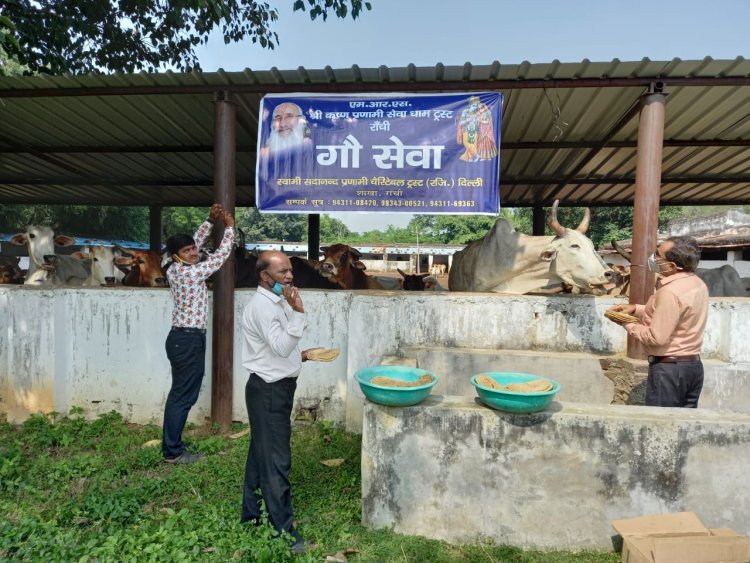 नवरात्र के शुभअवसर पर स्वामी सदानंद जी के शिष्यों ने की गौ-सेवा