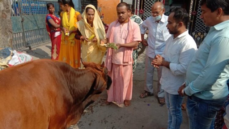 गोवर्धन पूजा पर गायों की हुई विशेष पूजा,अन्नकूट पर लगा 56 भोग