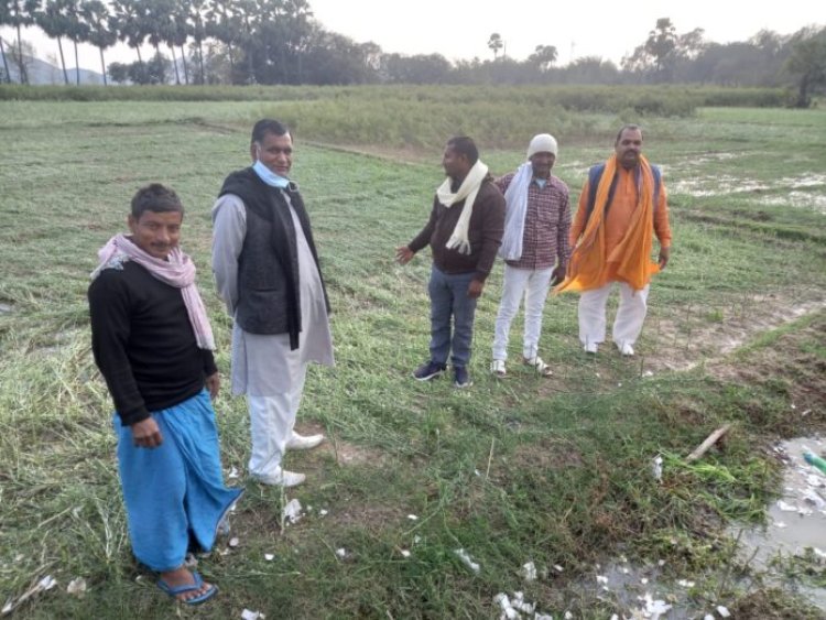 ओला वृष्टि होने से किसानों का फसल बर्बाद, उचित मुआवजा का मांग