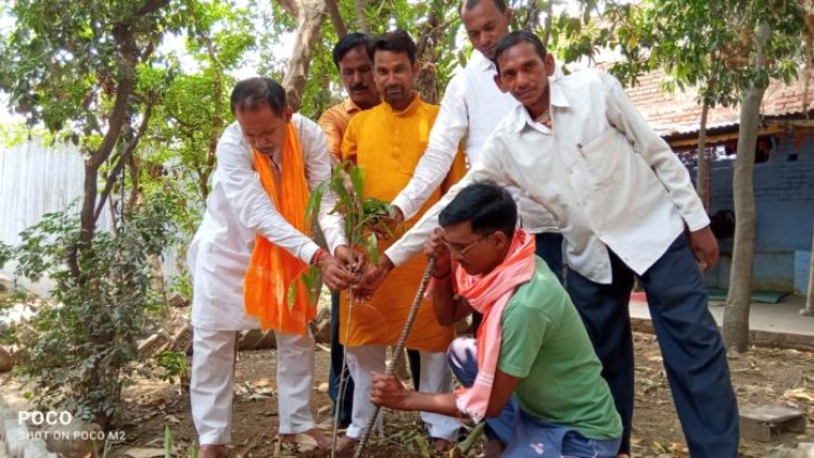 विश्व पर्यावरण दिवस पर किया गया वृक्षारोपण, भाजपा कार्यकर्ताओं ने पेड़ संरक्षण का लिया संकल्प