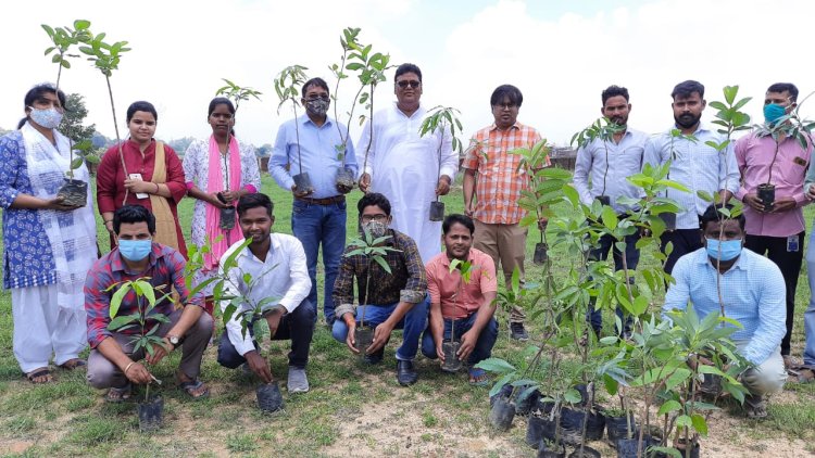 भारतीय जनतंत्र मोर्चा ने ग्रामीण क्षेत्र में किया पौधारोपण