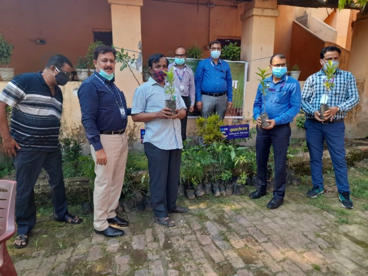 एसबीआई की एसएमईसी शाखा द्वारा आदिम जाति सेवा मंडल और बीएसवी स्कूल परिसर में किया गया पौधरोपण