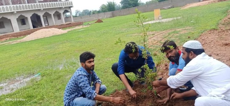 जामिया उस्मान-बिन-अफ्फान मदरसा में पौधरोपण