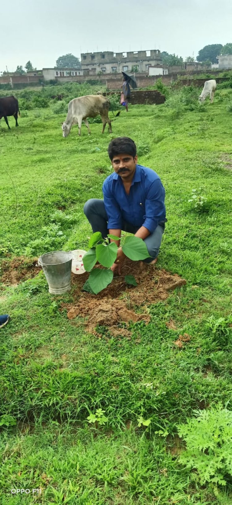 छात्र क्लब पर्यावरण मंच पौधारोपण के लिए लोगों को कर रहा जागरूक