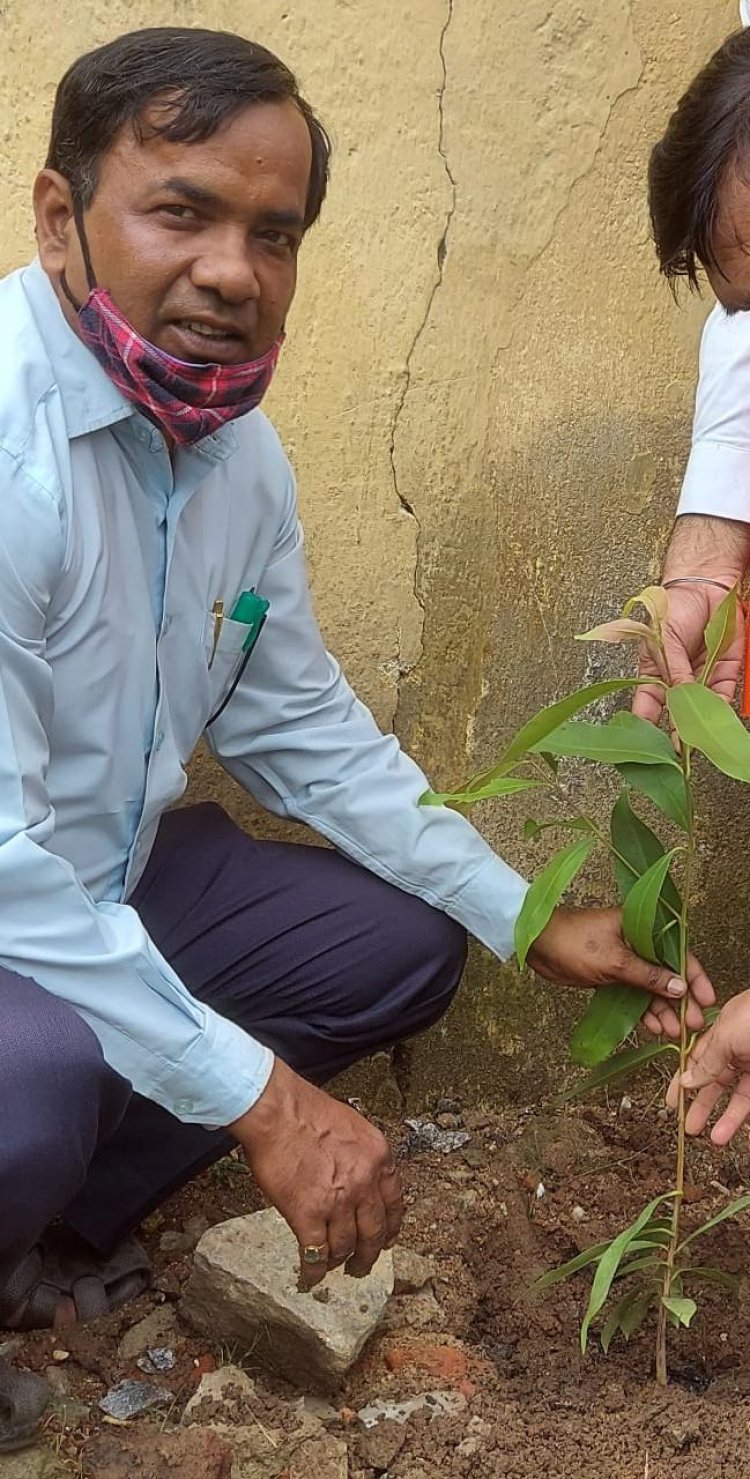 पौधे लगाकर उसकी नियमित देखभाल करते हैं पर्यावरणविद् तुषार कांति
