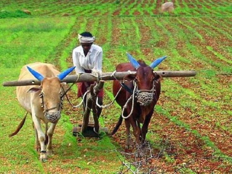 बिहार सरकार ने किसानों के खाते में जमा की कृषि इनपुट अनुदान की राशि