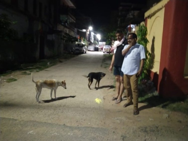 लाॅकडाउन में लावारिस जानवरों की भी बढ़ी परेशानी