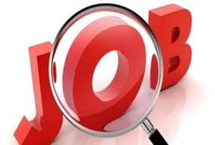 बिहार : युवाओं के लिए बड़ी खबर 1767 अमीन और 1387 इंजीनियर पदों के लिए निकली भर्ती