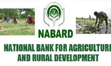 उत्तराखण्ड- नाबार्ड ने किसानों के लिए बढ़ाई लोन राशि, नहीं लगेगा कोई ब्याज