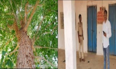 सरकारी आवास के शीशम पेड़ काटकर बनवाया फर्नीचर, पूर्व बीडीओ मनोज कुमार की दो वेतन वृद्धि पर लगी रोक