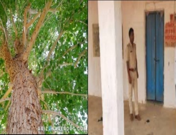सरकारी आवास के शीशम पेड़ काटकर बनवाया फर्नीचर, पूर्व बीडीओ मनोज कुमार की दो वेतन वृद्धि पर लगी रोक