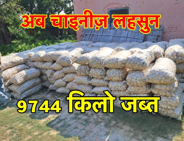 9 टन से भी ज़्यादा चाइनीज़ लहसुन बरामद, भारतीय बाज़ार में अवैध रूप से बेचने की थी कोशिस