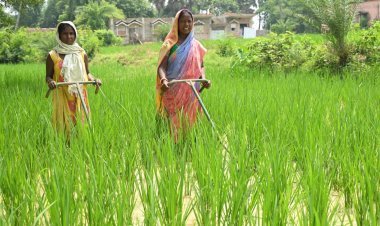 महिला सशक्तिकरण : 2.59 लाख सखी मंडलों को बैंक क्रेडिट लिंकेज से जोड़ा गया