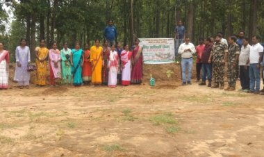 पर्यावरण संरक्षण के लिए पेड़ पौधे लगाना जरूरी: कमलेश कुमार सिंह 