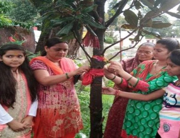 रक्षा बंधन पर्व  का मुख्य उद्देश्य पर्यावरण की रक्षा हो