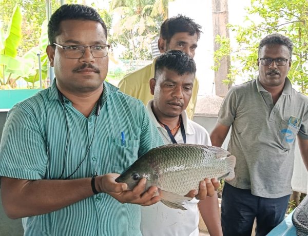 मत्स्य कृषकों को हरसंभव सहयोग देने को तत्पर है मत्स्य निदेशालय: डॉ.एचएन द्विवेदी 