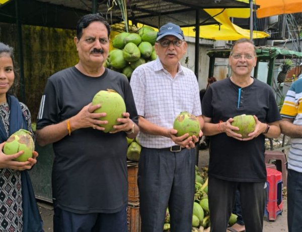 नारियल को पवित्र फल क्यों मानते हैं? जानिए भारतीय संस्कृति के सबसे पवित्र फल के रहस्य...