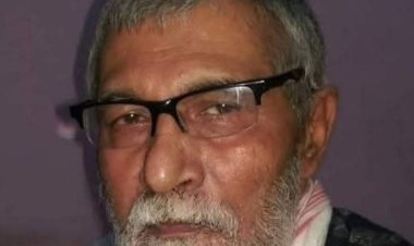 पत्रकार जुगनू शारदेय पत्रकारिता के लौह पुरुष माने जाते थे