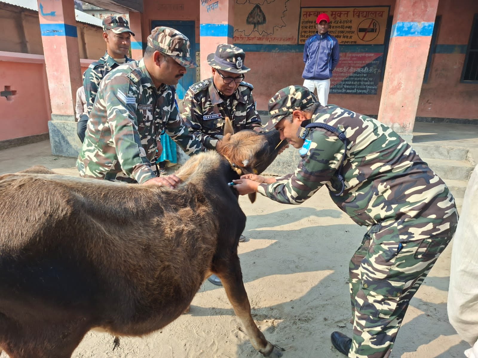 एसएसबी 44 वाहिनी ने भतीजुला में लगाया निःशुल्क पशु चिकित्सा शिविर