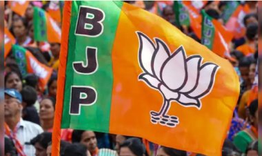 राज्यसभा चुनाव 2026 : भाजपा ने जारी की प्रत्याशियों की लिस्ट, यहां देखें सभी उम्मीदवारों की लिस्ट