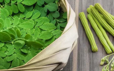 सुपरफूड सहजन के फायदे जानकर रह जाएंगे हैरान, शरीर को मिलते हैं कई जरूरी पोषक तत्व