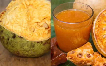 गर्मियों में पिएं बेल का शरबत, जानें रोज पीने के क्या होंगे बड़े फायदे